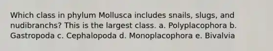 Which class in phylum Mollusca includes snails, slugs, and nudibranchs? This is the largest class. a. Polyplacophora b. Gastropoda c. Cephalopoda d. Monoplacophora e. Bivalvia