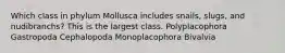 Which class in phylum Mollusca includes snails, slugs, and nudibranchs? This is the largest class. Polyplacophora Gastropoda Cephalopoda Monoplacophora Bivalvia