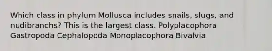 Which class in phylum Mollusca includes snails, slugs, and nudibranchs? This is the largest class. Polyplacophora Gastropoda Cephalopoda Monoplacophora Bivalvia