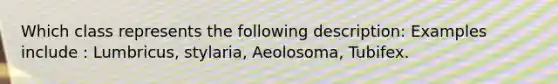 Which class represents the following description: Examples include : Lumbricus, stylaria, Aeolosoma, Tubifex.