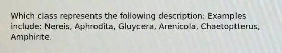 Which class represents the following description: Examples include: Nereis, Aphrodita, Gluycera, Arenicola, Chaetoptterus, Amphirite.