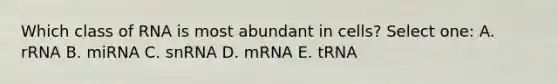 Which class of RNA is most abundant in cells? Select one: A. rRNA B. miRNA C. snRNA D. mRNA E. tRNA