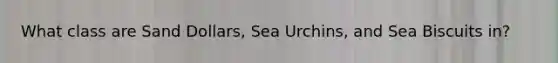 What class are Sand Dollars, Sea Urchins, and Sea Biscuits in?