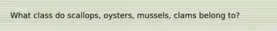 What class do scallops, oysters, mussels, clams belong to?
