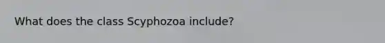 What does the class Scyphozoa include?