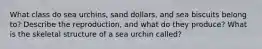 What class do sea urchins, sand dollars, and sea biscuits belong to? Describe the reproduction, and what do they produce? What is the skeletal structure of a sea urchin called?