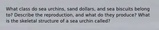 What class do sea urchins, sand dollars, and sea biscuits belong to? Describe the reproduction, and what do they produce? What is the skeletal structure of a sea urchin called?