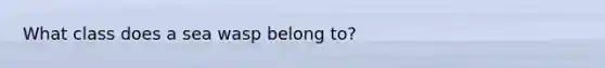 What class does a sea wasp belong to?