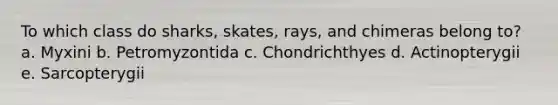 To which class do sharks, skates, rays, and chimeras belong to? a. Myxini b. Petromyzontida c. Chondrichthyes d. Actinopterygii e. Sarcopterygii