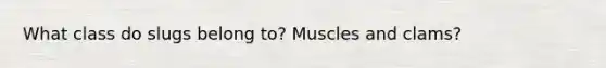 What class do slugs belong to? Muscles and clams?