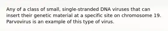 Any of a class of small, single-stranded DNA viruses that can insert their genetic material at a specific site on chromosome 19. Parvovirus is an example of this type of virus.