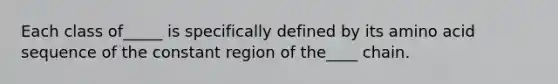 Each class of_____ is specifically defined by its amino acid sequence of the constant region of the____ chain.