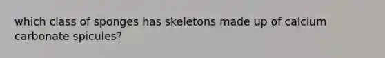 which class of sponges has skeletons made up of calcium carbonate spicules?