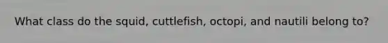 What class do the squid, cuttlefish, octopi, and nautili belong to?