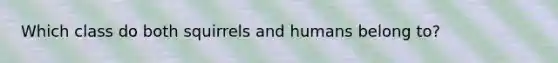 Which class do both squirrels and humans belong to?