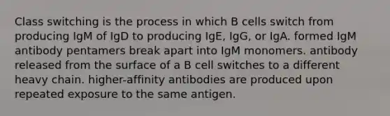 Class switching is the process in which B cells switch from producing IgM of IgD to producing IgE, IgG, or IgA. formed IgM antibody pentamers break apart into IgM monomers. antibody released from the surface of a B cell switches to a different heavy chain. higher-affinity antibodies are produced upon repeated exposure to the same antigen.