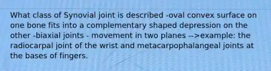 What class of Synovial joint is described -oval convex surface on one bone fits into a complementary shaped depression on the other -biaxial joints - movement in two planes -->example: the radiocarpal joint of the wrist and metacarpophalangeal joints at the bases of fingers.