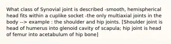 What class of Synovial joint is described -smooth, hemispherical head fits within a cuplike socket -the only multiaxial joints in the body --> example : the shoulder and hip joints. [Shoulder joint is head of humerus into glenoid cavity of scapula; hip joint is head of femur into acetabulum of hip bone]