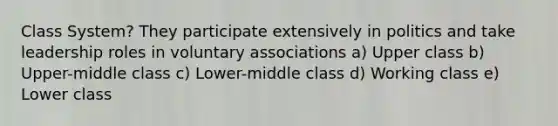 Class System? They participate extensively in politics and take leadership roles in voluntary associations a) Upper class b) Upper-middle class c) Lower-middle class d) Working class e) Lower class