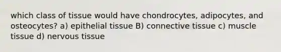 which class of tissue would have chondrocytes, adipocytes, and osteocytes? a) epithelial tissue B) connective tissue c) muscle tissue d) nervous tissue