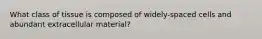 What class of tissue is composed of widely-spaced cells and abundant extracellular material?