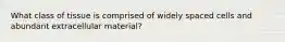 What class of tissue is comprised of widely spaced cells and abundant extracellular material?