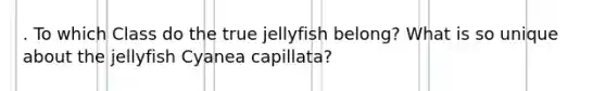 . To which Class do the true jellyfish belong? What is so unique about the jellyfish Cyanea capillata?