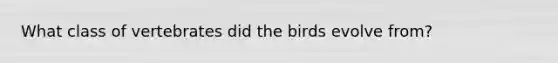 What class of vertebrates did the birds evolve from?