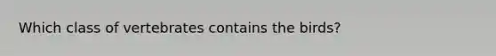 Which class of vertebrates contains the birds?