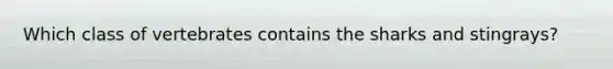 Which class of vertebrates contains the sharks and stingrays?