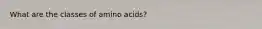 What are the classes of amino acids?