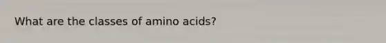 What are the classes of <a href='https://www.questionai.com/knowledge/k9gb720LCl-amino-acids' class='anchor-knowledge'>amino acids</a>?