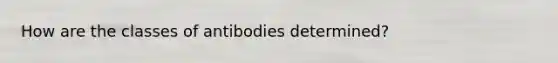 How are the classes of antibodies determined?