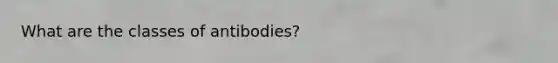 What are the classes of antibodies?