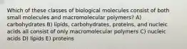 Which of these classes of biological molecules consist of both small molecules and macromolecular polymers? A) carbohydrates B) lipids, carbohydrates, proteins, and nucleic acids all consist of only macromolecular polymers C) nucleic acids D) lipids E) proteins