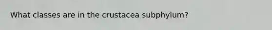 What classes are in the crustacea subphylum?