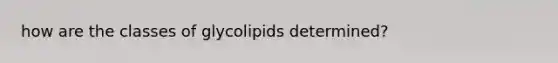 how are the classes of glycolipids determined?