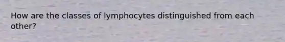 How are the classes of lymphocytes distinguished from each other?