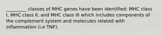 _________ classes of MHC genes have been identified: MHC class I, MHC class II, and MHC class III which includes components of the complement system and molecules related with inflammation (i.e TNF).