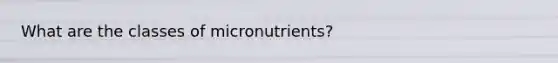 What are the classes of micronutrients?