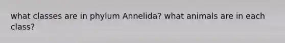 what classes are in phylum Annelida? what animals are in each class?