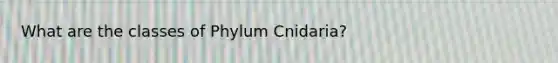 What are the classes of Phylum Cnidaria?