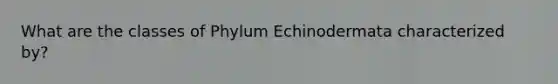 What are the classes of Phylum Echinodermata characterized by?