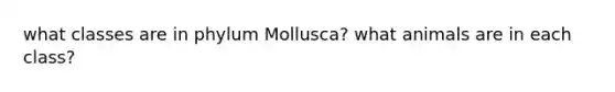 what classes are in phylum Mollusca? what animals are in each class?