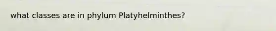 what classes are in phylum Platyhelminthes?