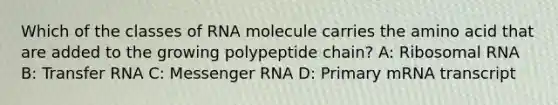 Which of the classes of RNA molecule carries the amino acid that are added to the growing polypeptide chain? A: Ribosomal RNA B: Transfer RNA C: Messenger RNA D: Primary mRNA transcript