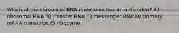 Which of the classes of RNA molecules has an anticodon? A) ribosomal RNA B) transfer RNA C) messenger RNA D) primary mRNA transcript E) ribozyme