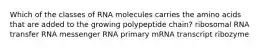 Which of the classes of RNA molecules carries the amino acids that are added to the growing polypeptide chain? ribosomal RNA transfer RNA messenger RNA primary mRNA transcript ribozyme