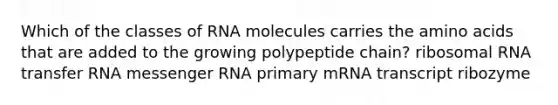 Which of the classes of RNA molecules carries the amino acids that are added to the growing polypeptide chain? ribosomal RNA transfer RNA messenger RNA primary mRNA transcript ribozyme