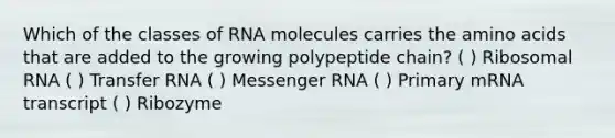 Which of the classes of RNA molecules carries the amino acids that are added to the growing polypeptide chain? ( ) Ribosomal RNA ( ) Transfer RNA ( ) Messenger RNA ( ) Primary mRNA transcript ( ) Ribozyme